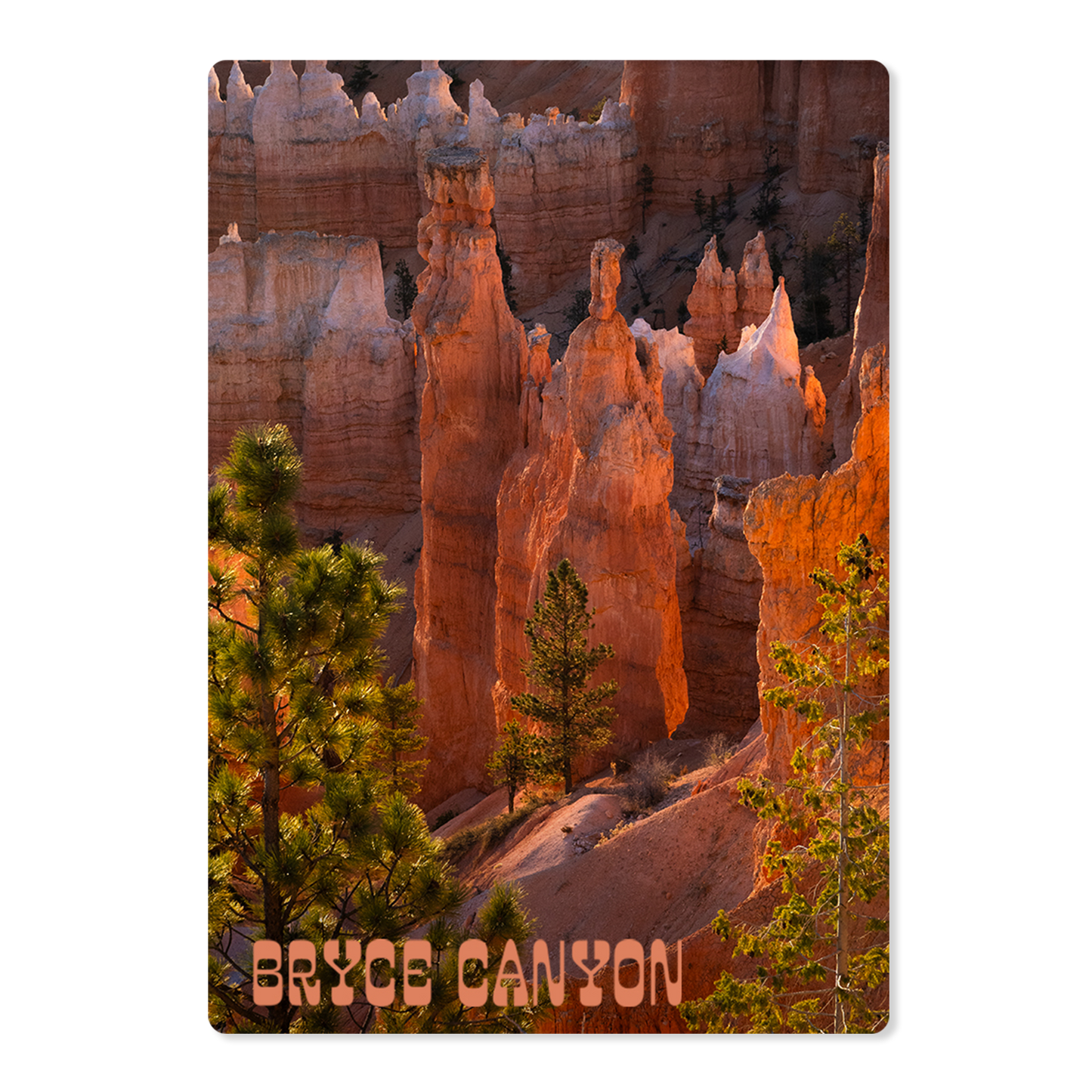 Bryce Canyon National Park Magnet