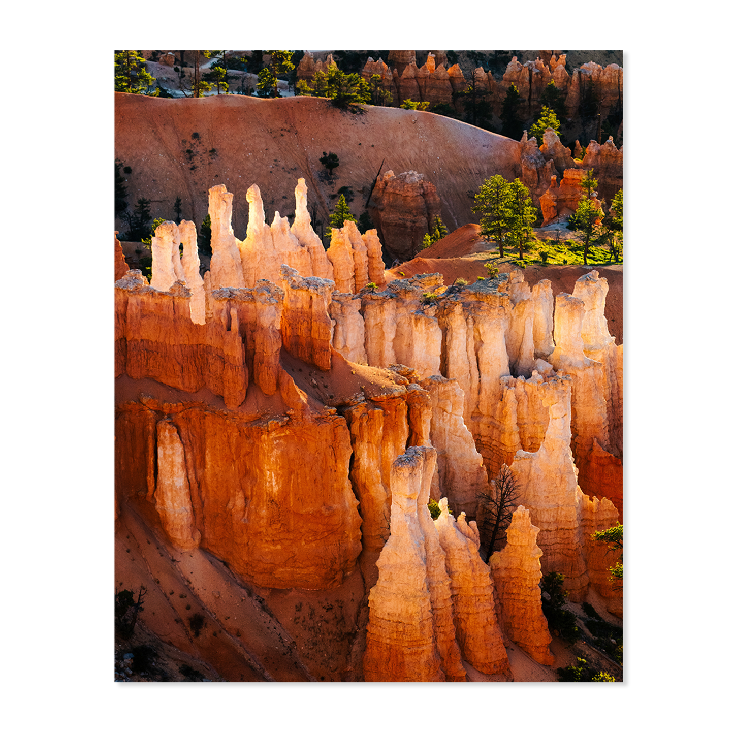 Bryce Canyon National Park Print