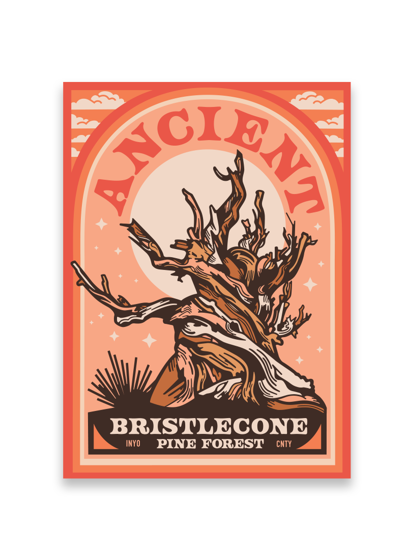 Ancient Bristlecone Pine Forest Archway Sticker