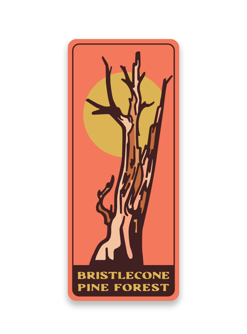 Ancient Bristlecone Pine Forest Sticker