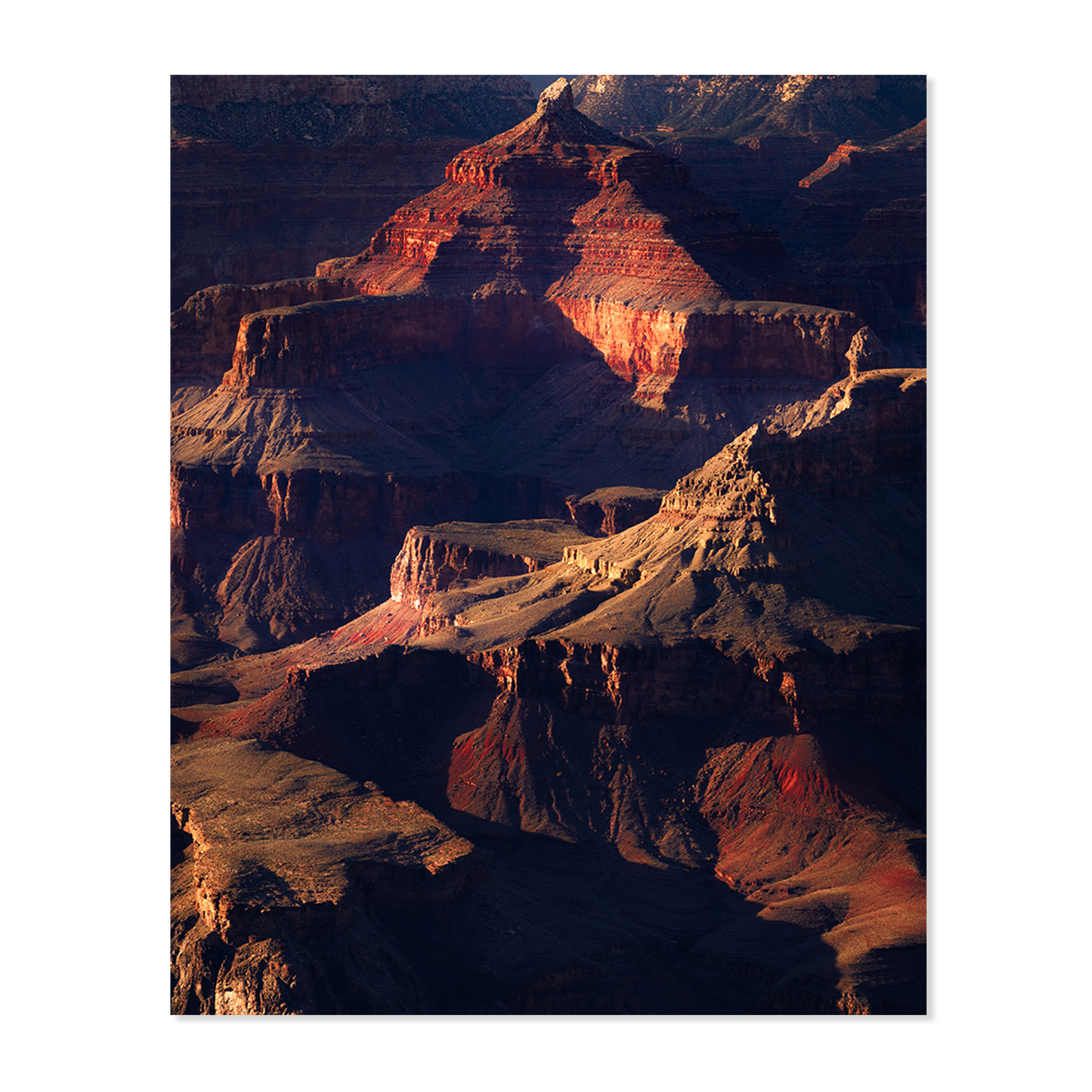 Grand Canyon National Park Vertical Print