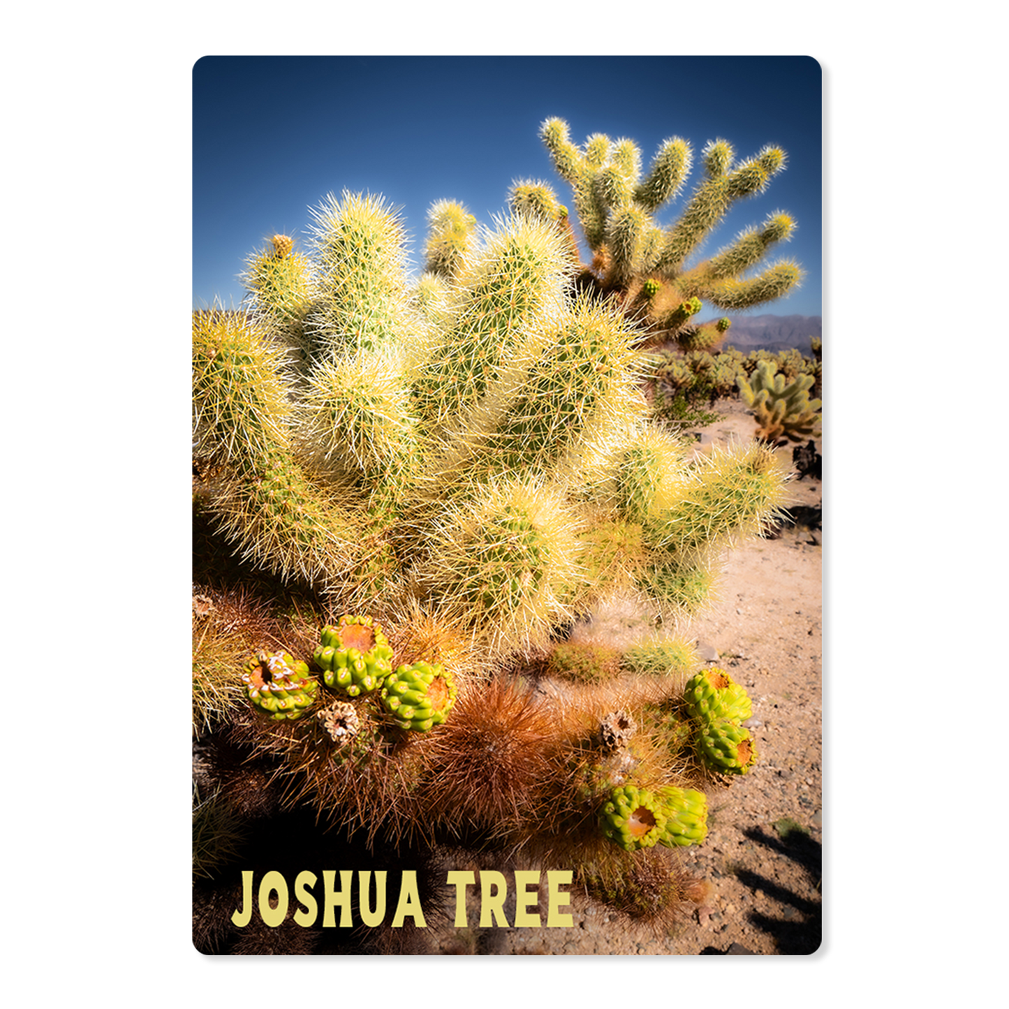 Joshua Tree National Park Magnet